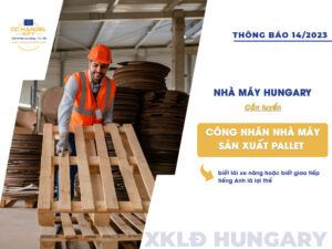 Thông báo số 14/2023 của công ty DC HANDEL (Hungary)