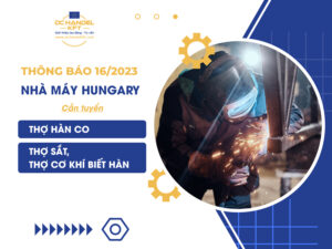 Thông báo số 16/2023 của công ty DC HANDEL (Hungary)